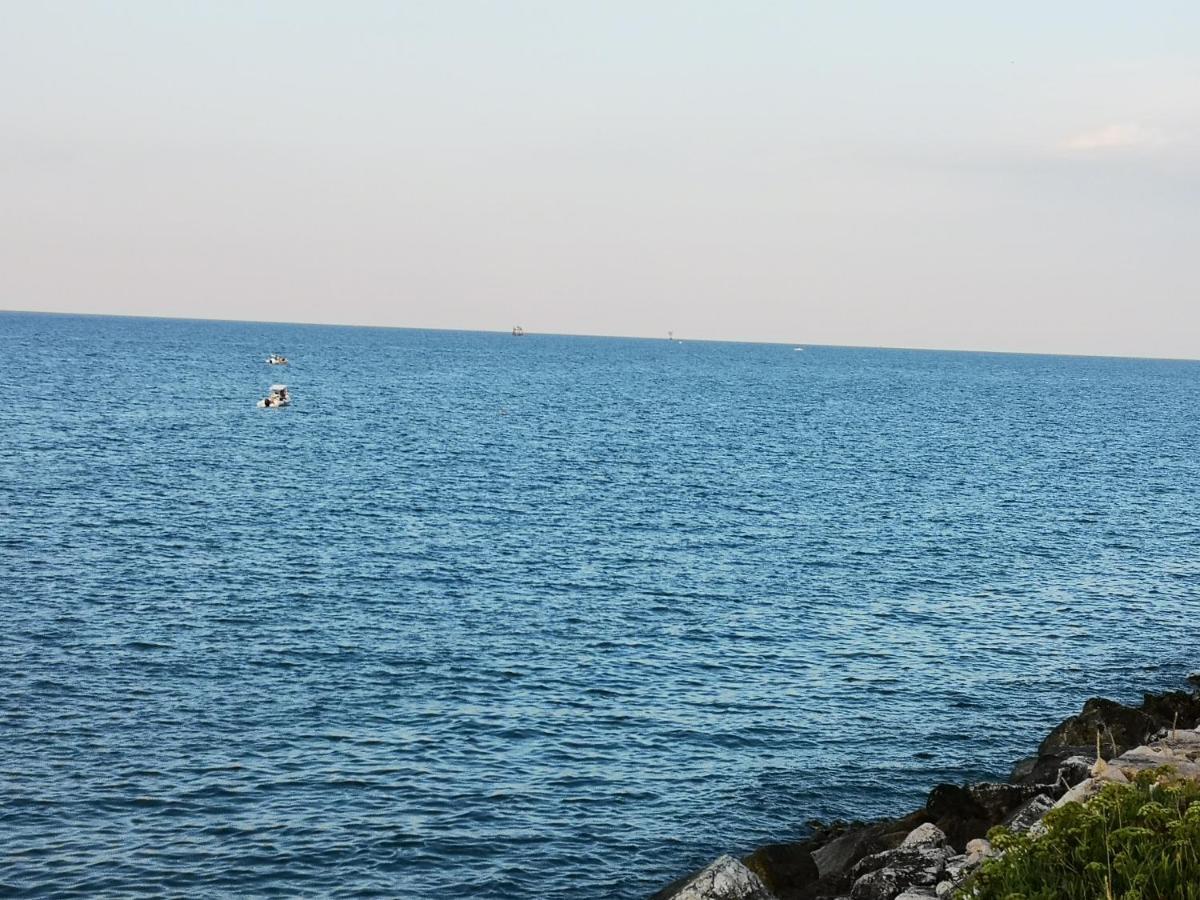 Vacanze Al Mare Appartamento In Villa 托里诺迪桑格罗 外观 照片
