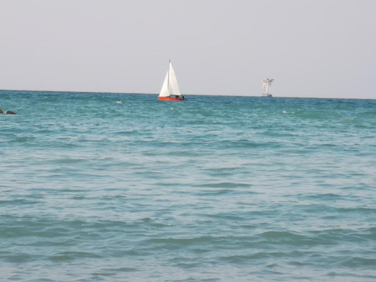 Vacanze Al Mare Appartamento In Villa 托里诺迪桑格罗 外观 照片