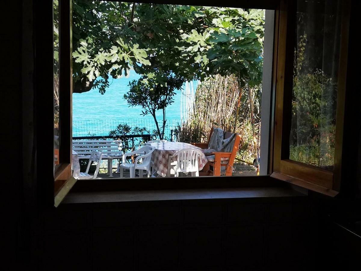 Vacanze Al Mare Appartamento In Villa 托里诺迪桑格罗 外观 照片