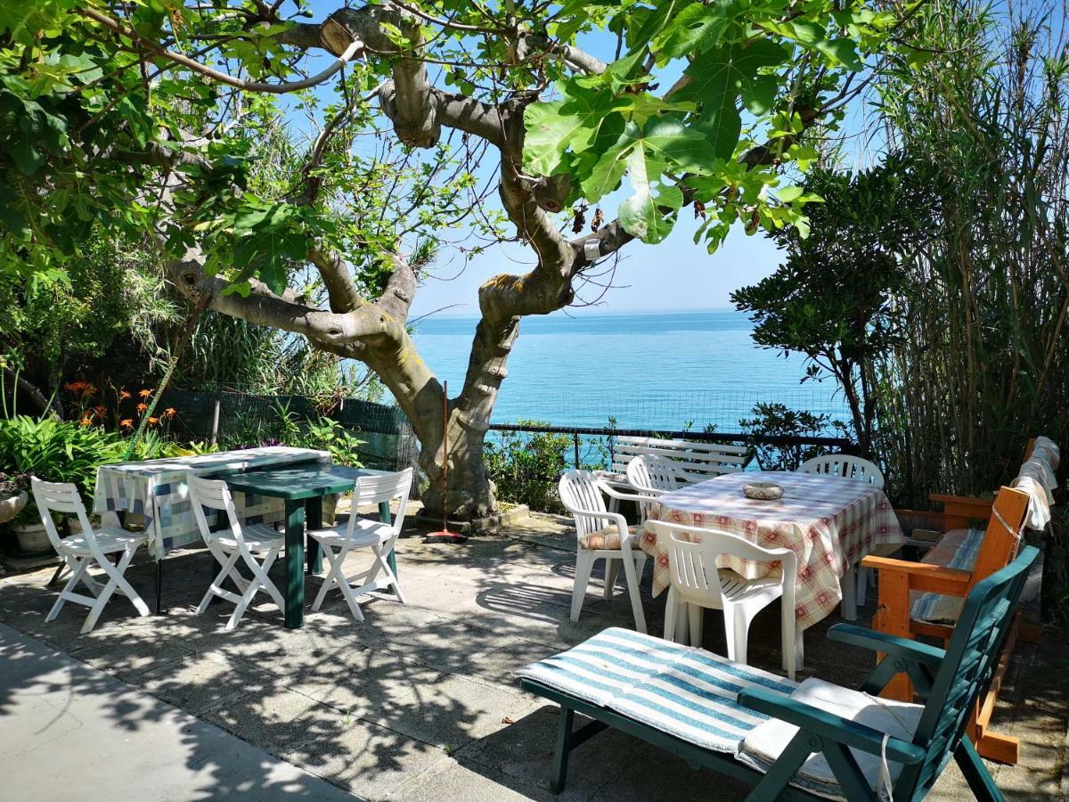 Vacanze Al Mare Appartamento In Villa 托里诺迪桑格罗 外观 照片