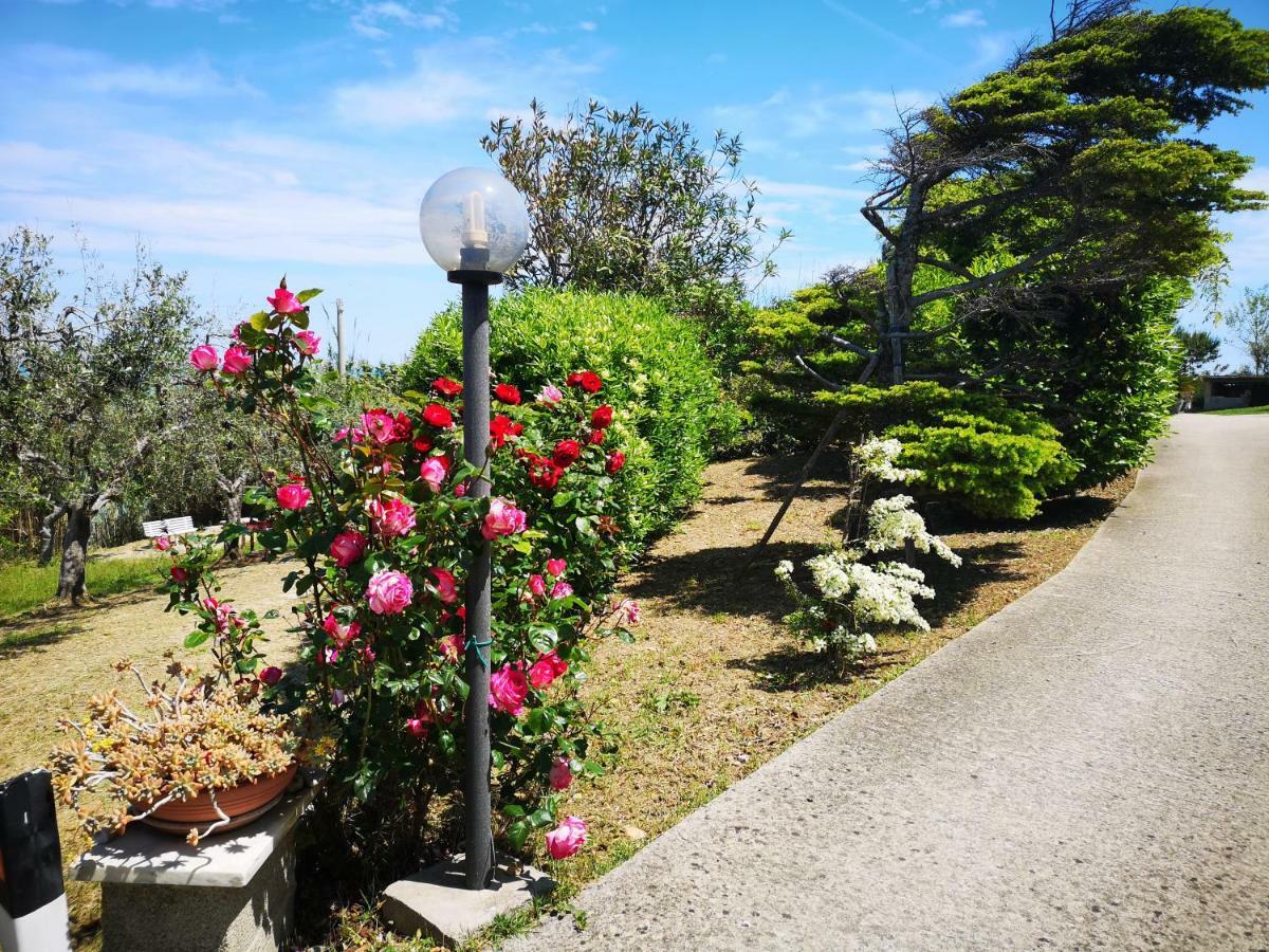 Vacanze Al Mare Appartamento In Villa 托里诺迪桑格罗 外观 照片
